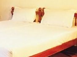 Hotel Coir Village Lake Resort 1