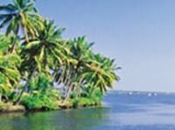 Hotel Coir Village Lake Resort 4