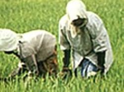 Hotel Arcadia Regency Alleppey 4