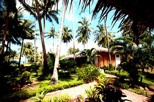 Hotel Lipa Lodge Resort 2