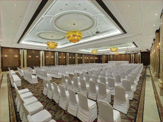 Hotel Mayfair Convention 10