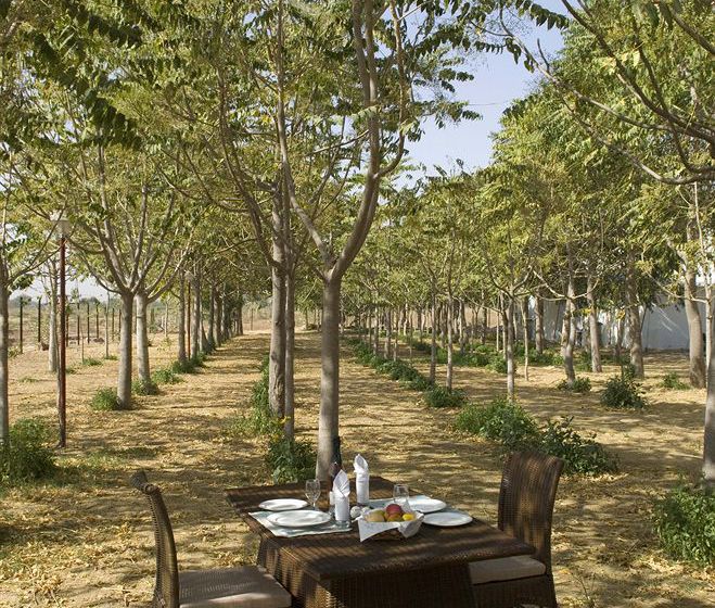 Resort The Greenhouse 7