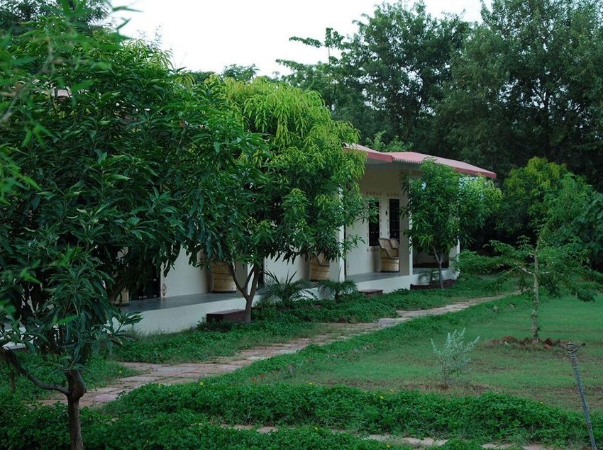 Hotel The Pugmark 17