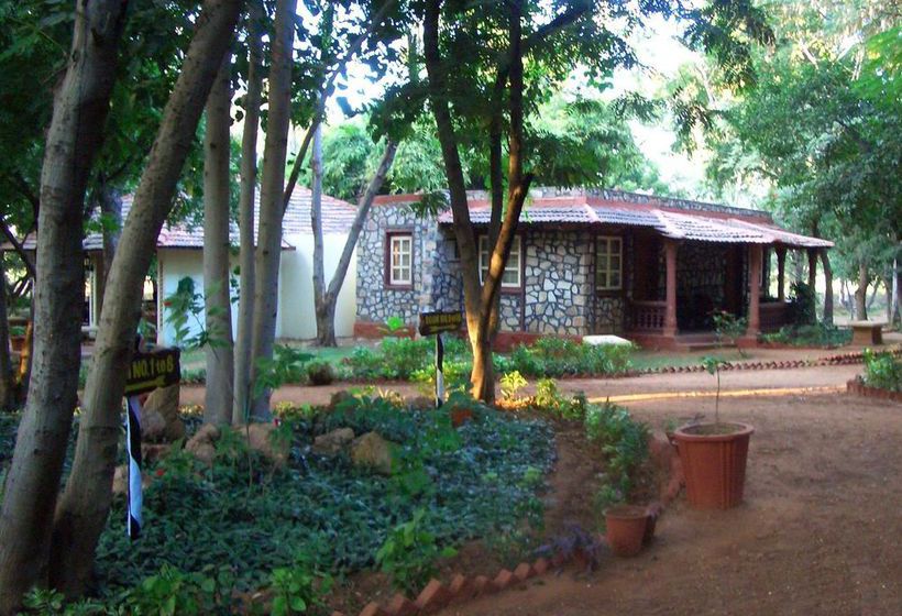 Tiger Moon Resort 14