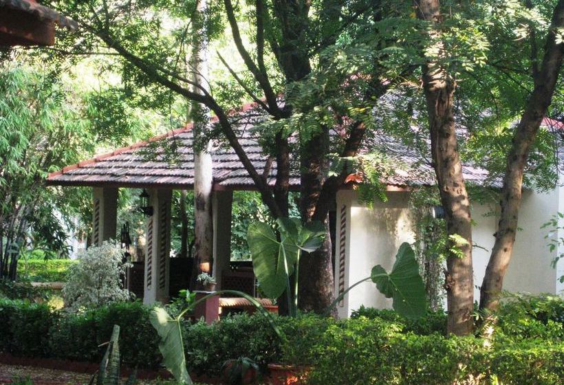 Tiger Moon Resort 16