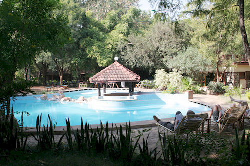 Tiger Moon Resort 19