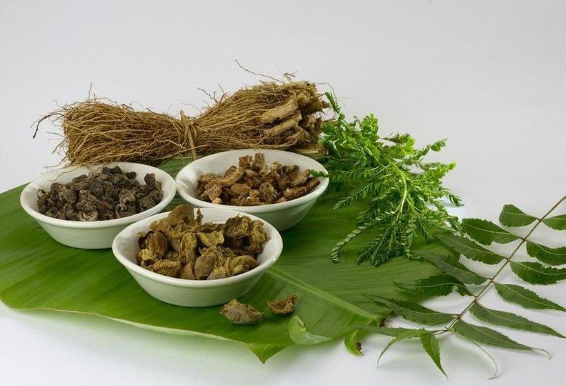 Hotel Raheem Residency 5