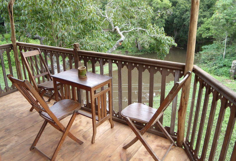 Hotel Elephant Valley 14