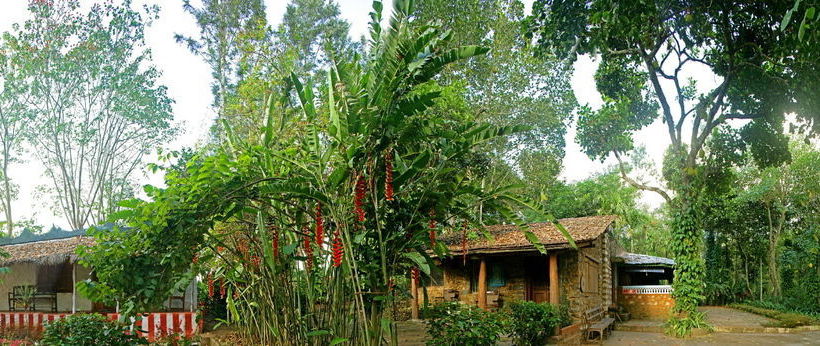 Hotel Elephant Valley 16