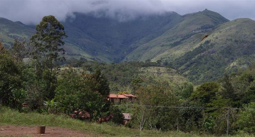 Hotel Elephant Valley 2