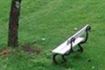 Hotel Kodai International 1