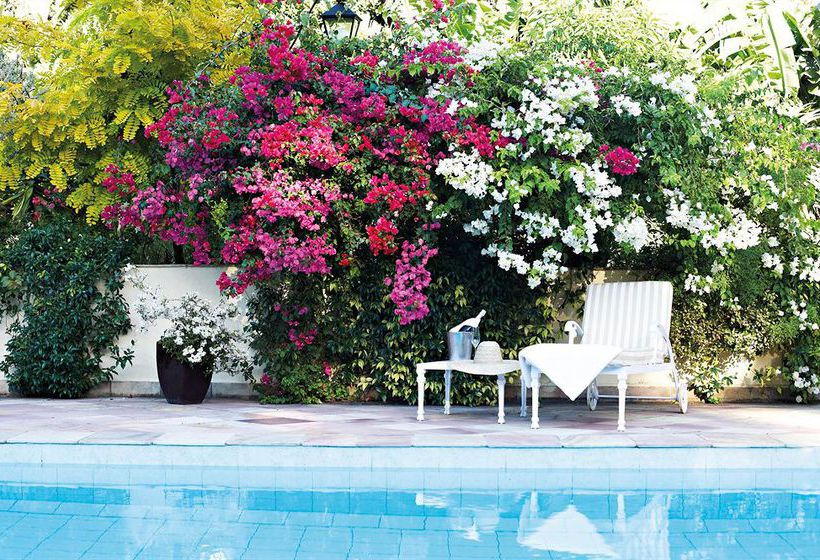 Hotel The Last Word Constantia 11