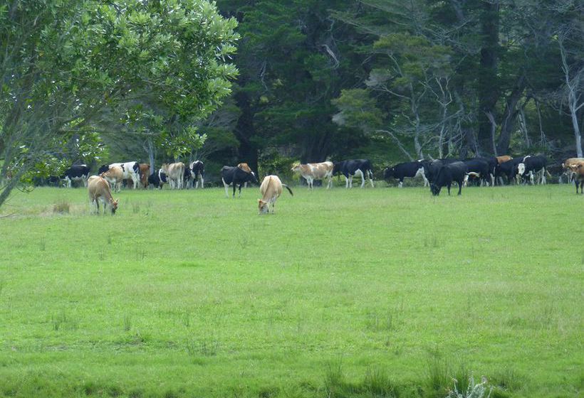 Hotel At Parkland Place Bed & Breakfast 3