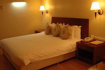 Hotel Krishna Palace 5