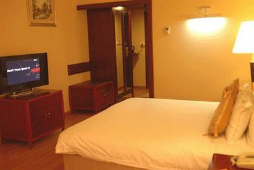 Hotel Krishna Palace 6