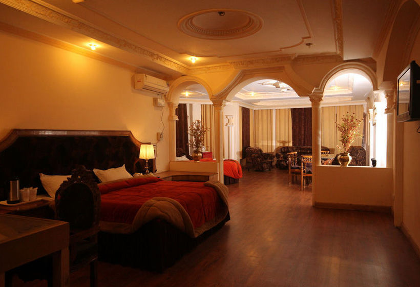 Hotel Anand Palace 10