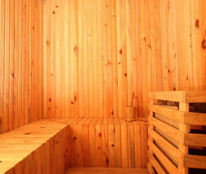 Hotel Anand Palace 20