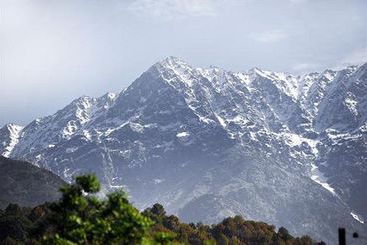 Hotel Snow Hermitage 4