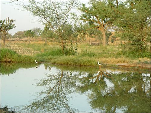 The Desert Resort 17