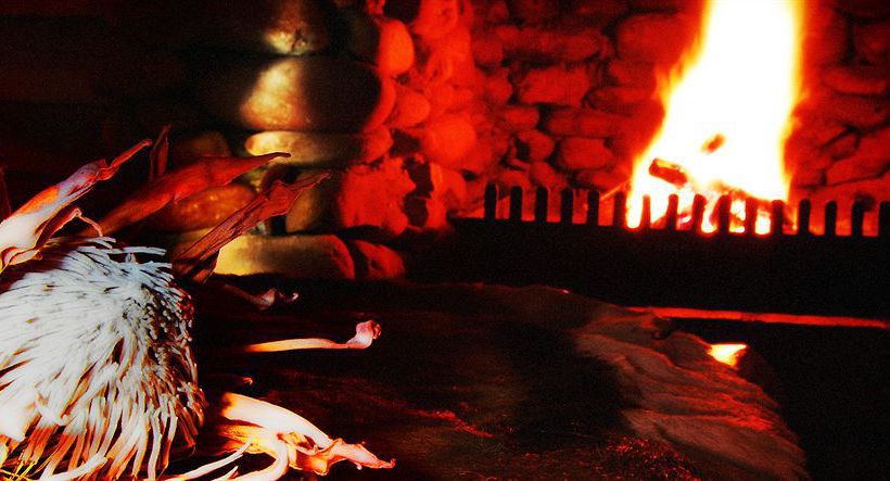 Hotel De Zeekoe Guest Farm 15