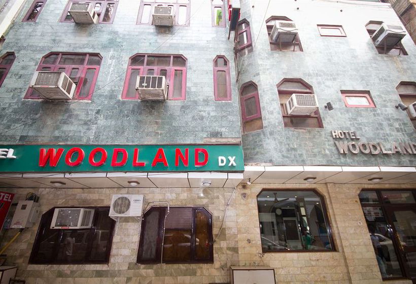 Hotel Woodland Deluxe 6