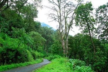 Manjusha Hotels & Resorts Munnar 4