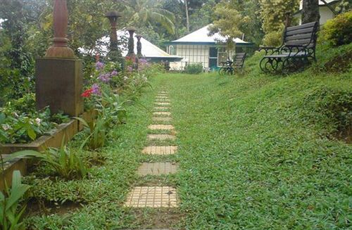 Hotel Igloo Nature Resort Munnar 10