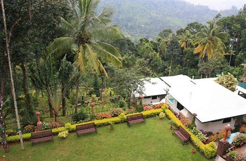 Hotel Igloo Nature Resort Munnar 8