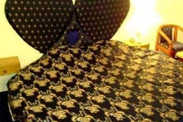 Hotel Neha Palace Manali Himachal Pradesh