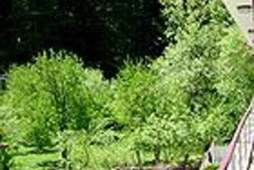 Hotel Chetna & Cottages Manali Himachal Pradesh