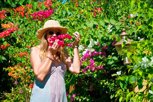 Hotel The Banyan Soul 1