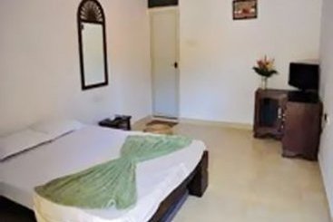 Hotel Ginger Tree Village Resort 3