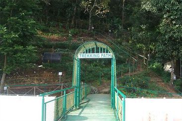 Hotel Misty Mountain Resort 15