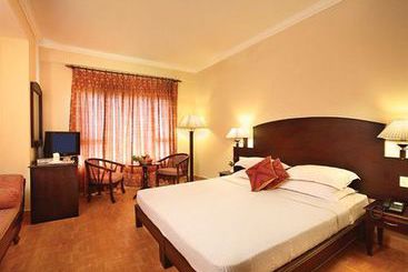 Hotel Misty Mountain Resort 16