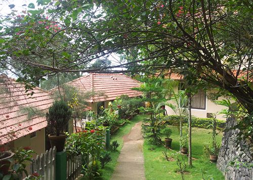 Hotel The New Whispering Meadows 7