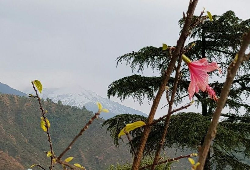 Hotel Villa Paradiso 13