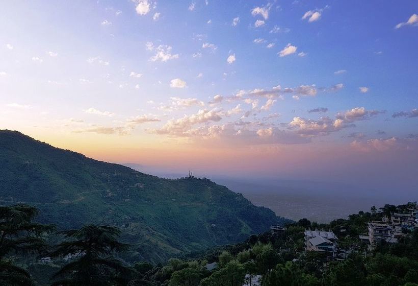 Hotel Villa Paradiso 14