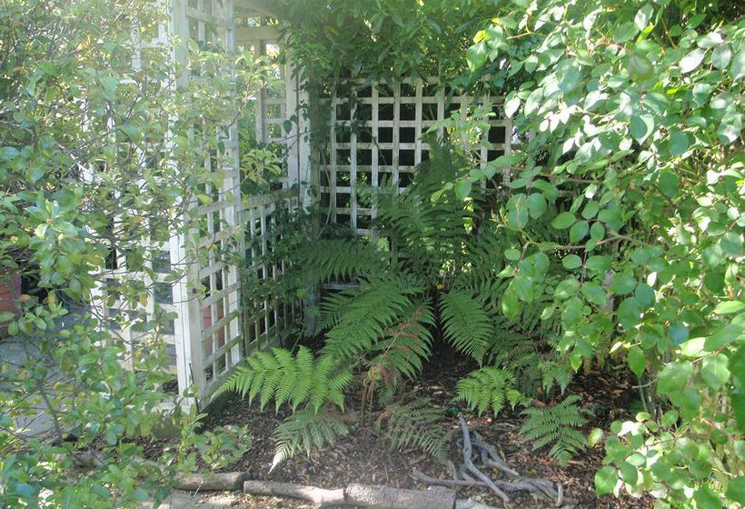Sandy Feet At Brighton