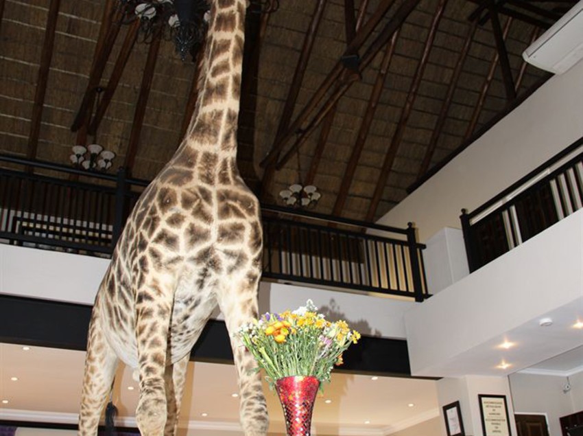 Bed & Breakfast Bains Chalet Park 6