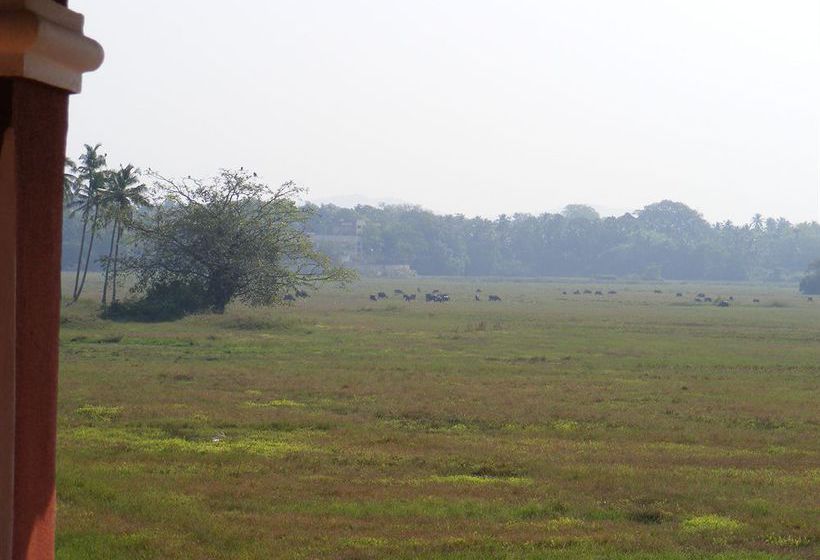 Hotel Costa Del Sol 2