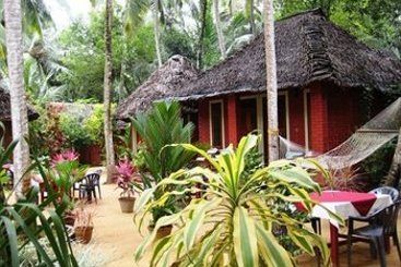 Hotel New Ideal Panchakarma Centre 12