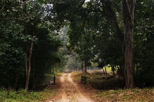 Corbett Woods Resort