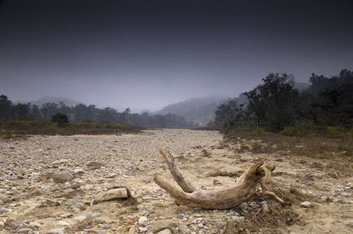 Corbett Woods Resort 1