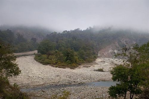 Corbett Woods Resort 3