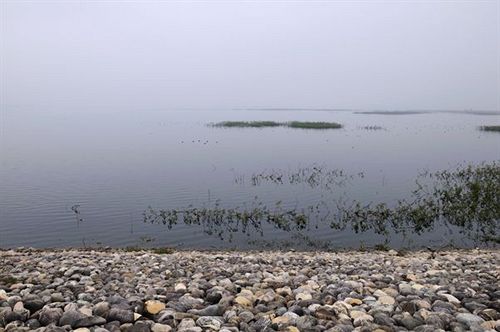 Corbett Woods Resort 5