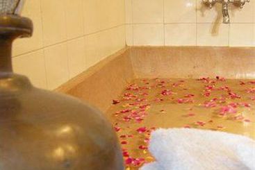 Hotel Haveli Inn Pal 17