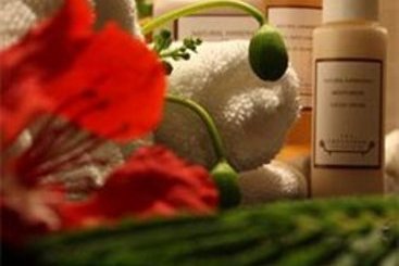 Hôtel The Chettinad 15