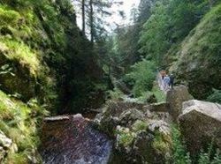 Hotel Gasthaus Finken 7