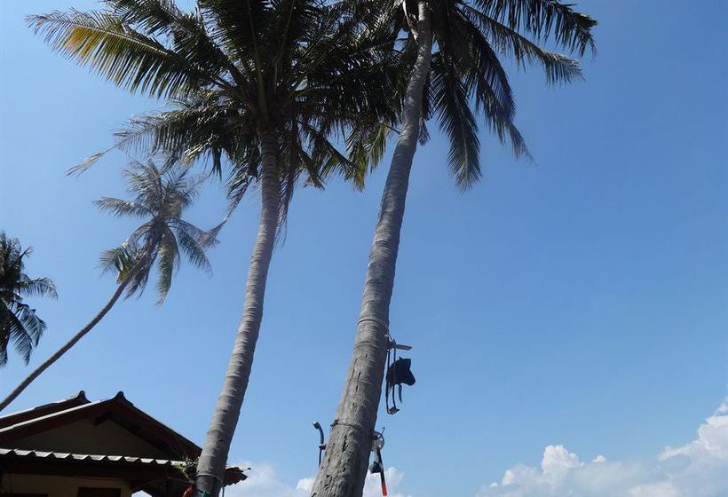 Moon Paradise Bungalow 9