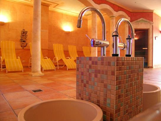 Sport- & Tagungshotel Kenzingen 8